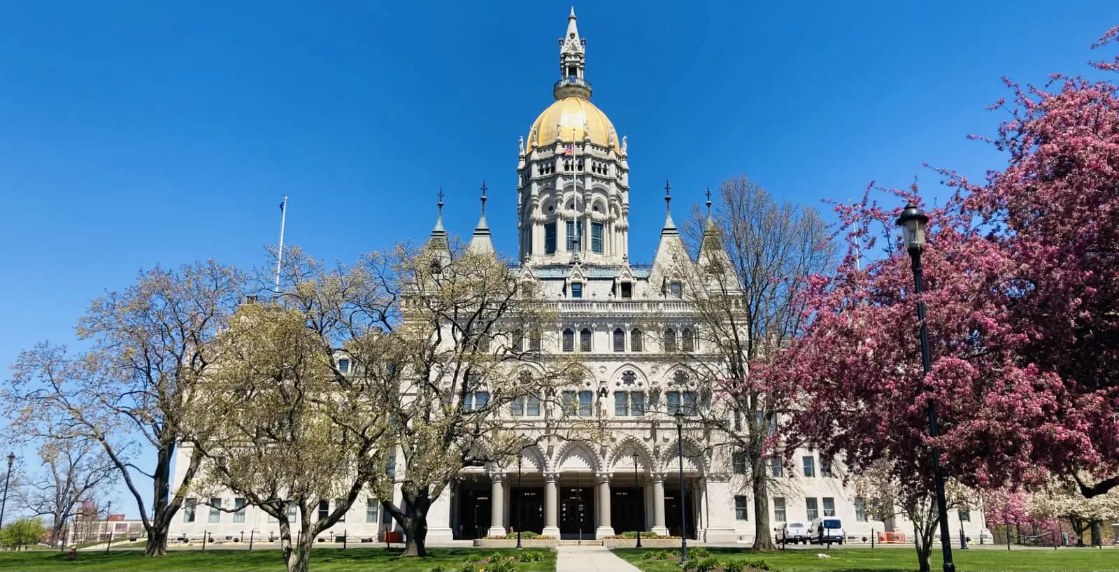 The Connecticut State Capitol framed by flowering spring trees